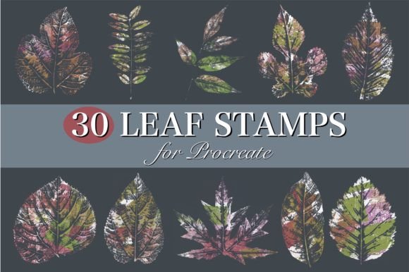 Leaf Stamps for Procreate: 30 Skeletonized Brushes for Botanical Art